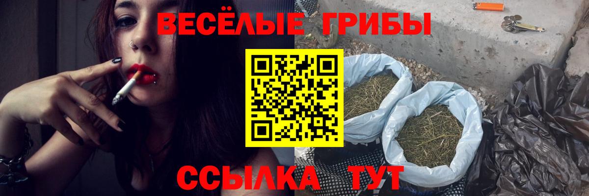 Псилоцибиновые грибы MAGIC MUSHROOMS  Вход с VPN  Энгельс  Галлюциногенные грибы мицелий 